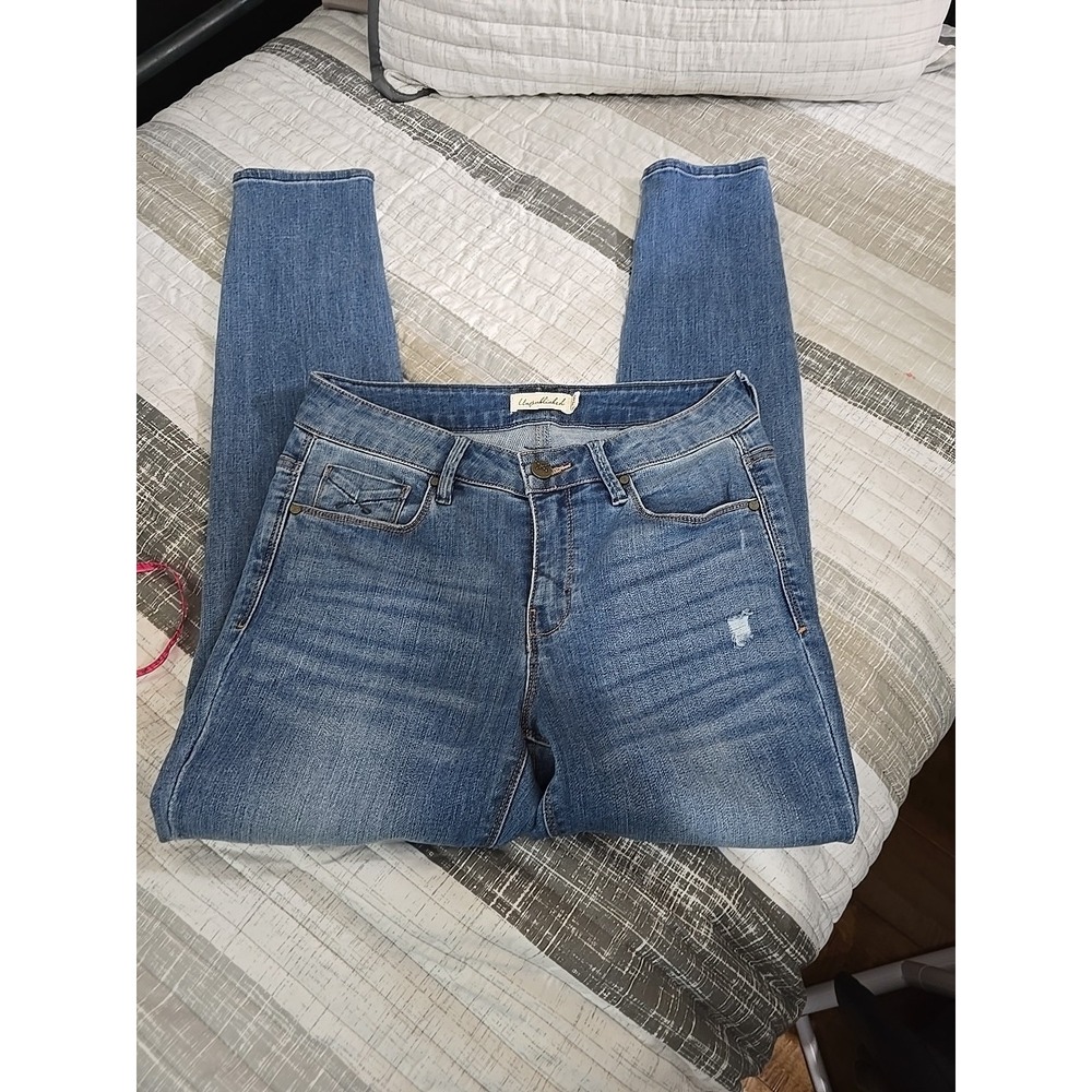 Unpublished Size 28 Blue Jeans Women's Skinny Fit Stretch Denim Open Ankle